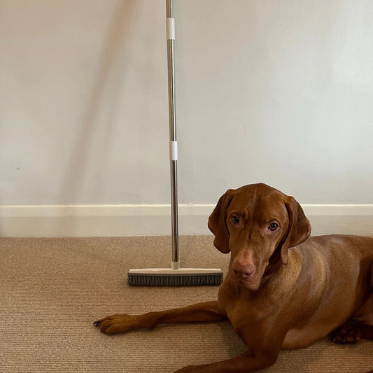 Velra™ | Pet Hair Removal Broom